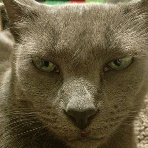 Meet your Posher, Patti